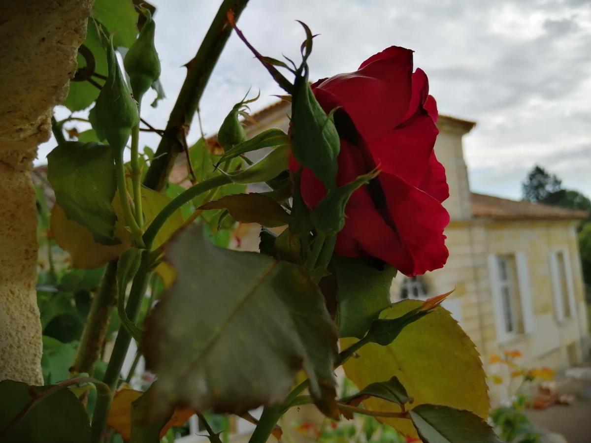 فندق Domaine Du Chauvet Sainte-Eulalie  المظهر الخارجي الصورة